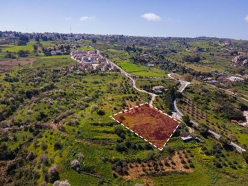 Field - Drouseia, Paphos