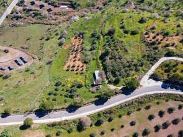 Field - Drouseia, Paphos