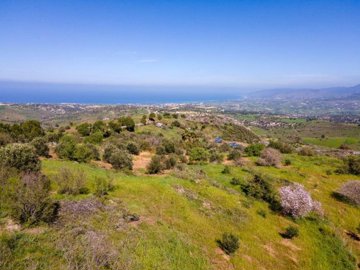 Field - Drouseia, Paphos