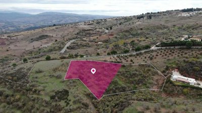 Share of Residential field, Drouseia, Paphos