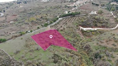 Share of Residential field, Drouseia, Paphos