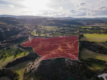 Field - Drouseia, Paphos