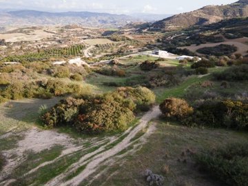 Field - Drouseia, Paphos