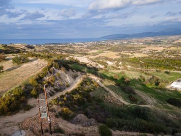 Field - Drouseia, Paphos