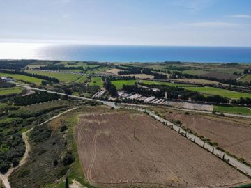 Field - Kouklia, Paphos