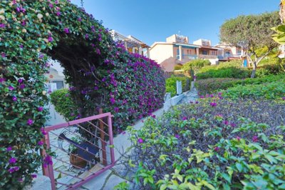 Town House For Sale  in  Peyia Village