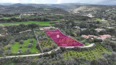 (Share) Residential field  located Skoulli, Paphos