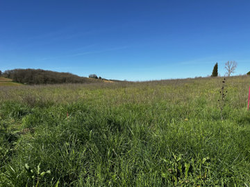 1 - Lot-et-Garonne, Terre