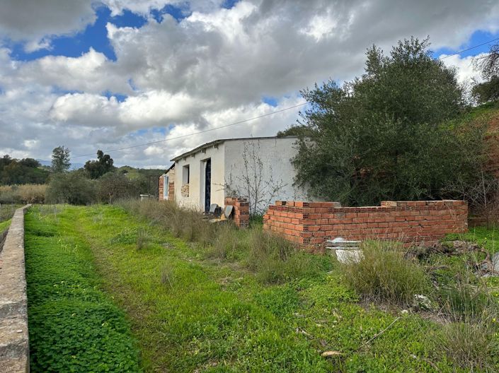 Image No.1-Finca à vendre à Coin