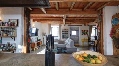 kitchen island to living area