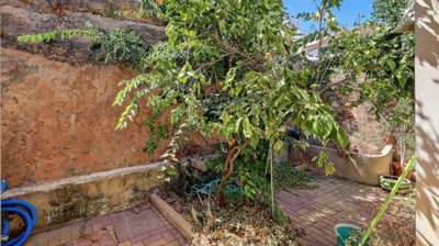 lemon tree against castle wall