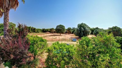 paddocks and field shelters