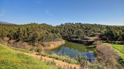 unobstructed views over the lake