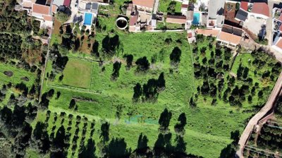 terraced, fertile land