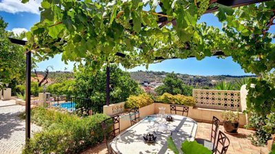 grape vines for shade