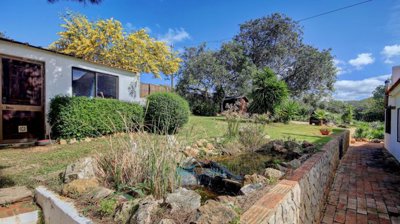 steps from bbq area to pond and store room