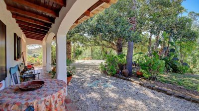 views over the beautiful mature garden