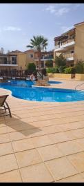 215382-apartment-for-sale-in-universal-area_orig