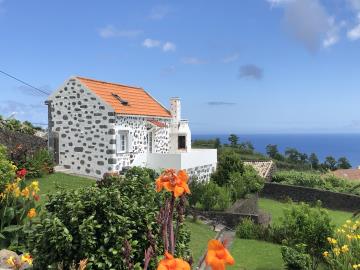 Hortensia-view-from-garden-2