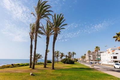 damos-la-bienvenida-a-este-coqueto-apartamento-en-planta-baja-con-una-terraza-de-infarto-en-una-de-las-zonas-mas-codiciadas-de-tor-torrevieja_66220a37-7485-48cb-b710-98b541b45d16G