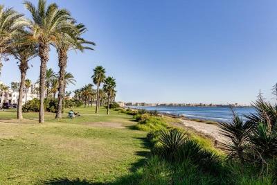 damos-la-bienvenida-a-este-coqueto-apartamento-en-planta-baja-con-una-terraza-de-infarto-en-una-de-las-zonas-mas-codiciadas-de-tor-torrevieja_a0e6a5fd-acc0-4cf0-adbf-ddfb82aab757G