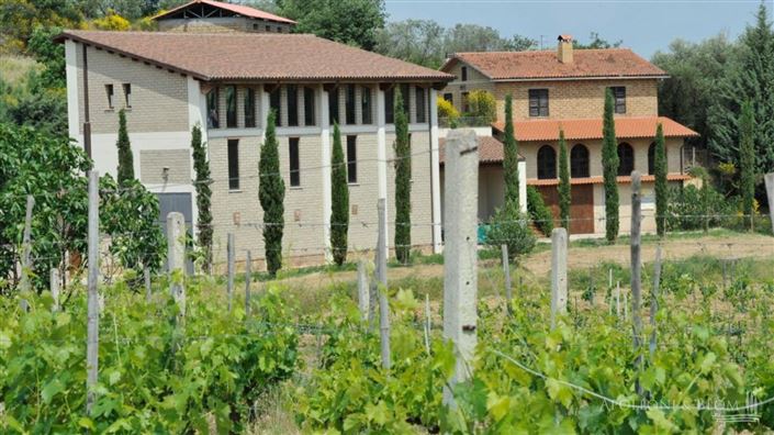 Image No.1-2 Bed Vineyard for sale