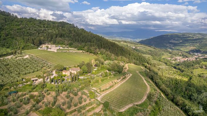 Image No.1-Vignoble de 5 chambres à vendre à Fiesole