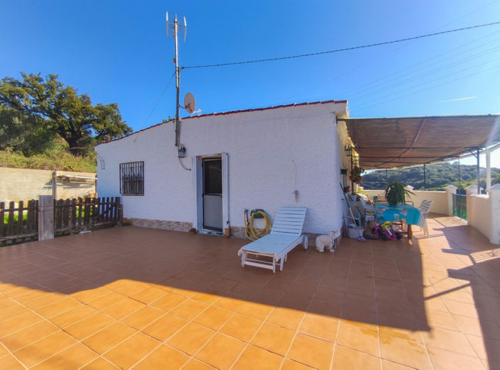 Image No.1-4 Bed Finca for sale