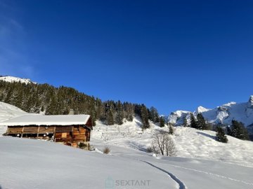 1 - Le Grand-Bornand, Chalet