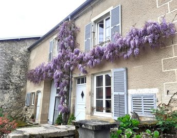 1 - Bourbonne-les-Bains, Maison