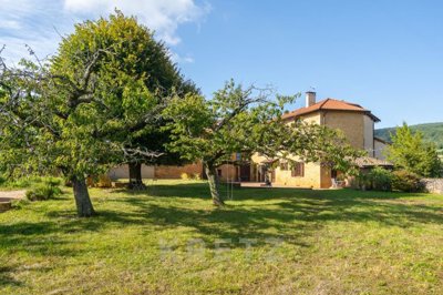 1 - Theizé, Maison