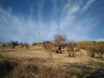 1 - Granada, Land