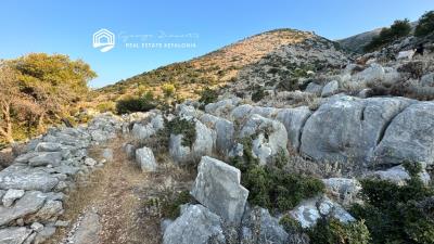 PAL404-Agia-Efimia--7-