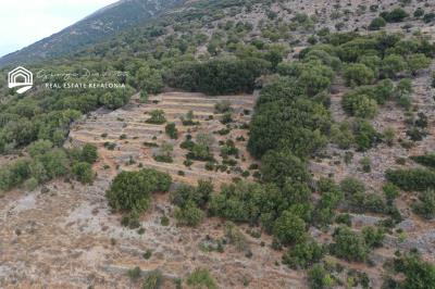 PAL326-Agia-Efimia--1-