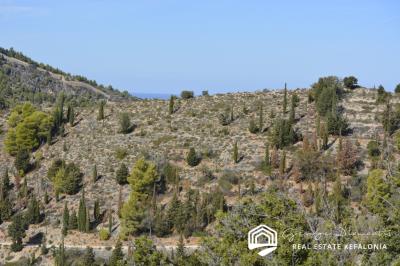 EAL417-Assos-RIGHT-SIDE-VIEW---4-