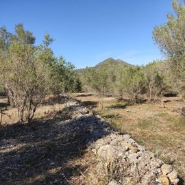 1107-land-for-sale-in-alcalali-642693-large