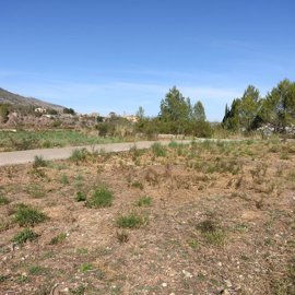 1107-land-for-sale-in-alcalali-642694-large