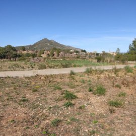 1107-land-for-sale-in-alcalali-642687-large