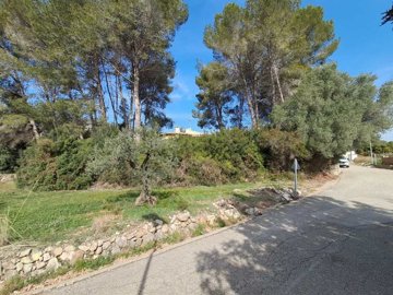 1115-country-house-for-sale-in-alcalali-83226