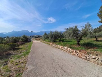 1115-country-house-for-sale-in-alcalali-83226