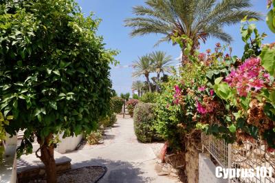 4-Kato-Paphos-well-presented-apartment-Property-1259