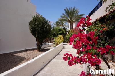 5-Kato-Paphos-well-presented-apartment-Property-1259