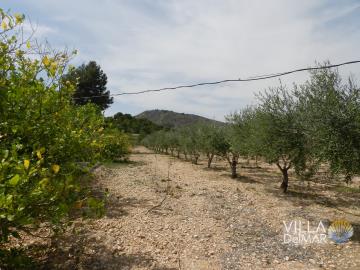 F-302-Villa-del-Mar-Calpe-Costa-Blanca0002