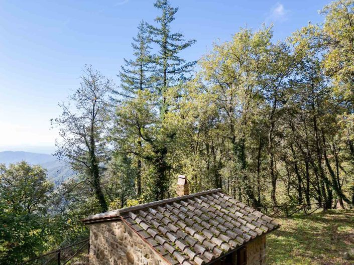 Cortona, Property