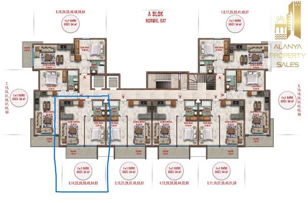 Image No.1-floorplan-1