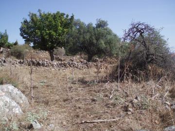 Hania-for-sale-plot-with-sea-views-in-Kefalas-Apokoronas--11-