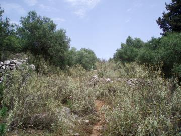 Hania-for-sale-plot-in-Kefalas--7-