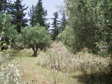 Hania-for-sale-plot-in-Kefalas--8-