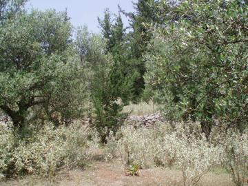 Hania-for-sale-plot-in-Kefalas--13-