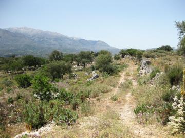 Crete---property---11-